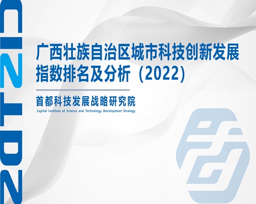 大奶骚逼被操视频高清免费观看【成果发布】广西壮族自治区城市科技创新发展指数排名及分析（2022）